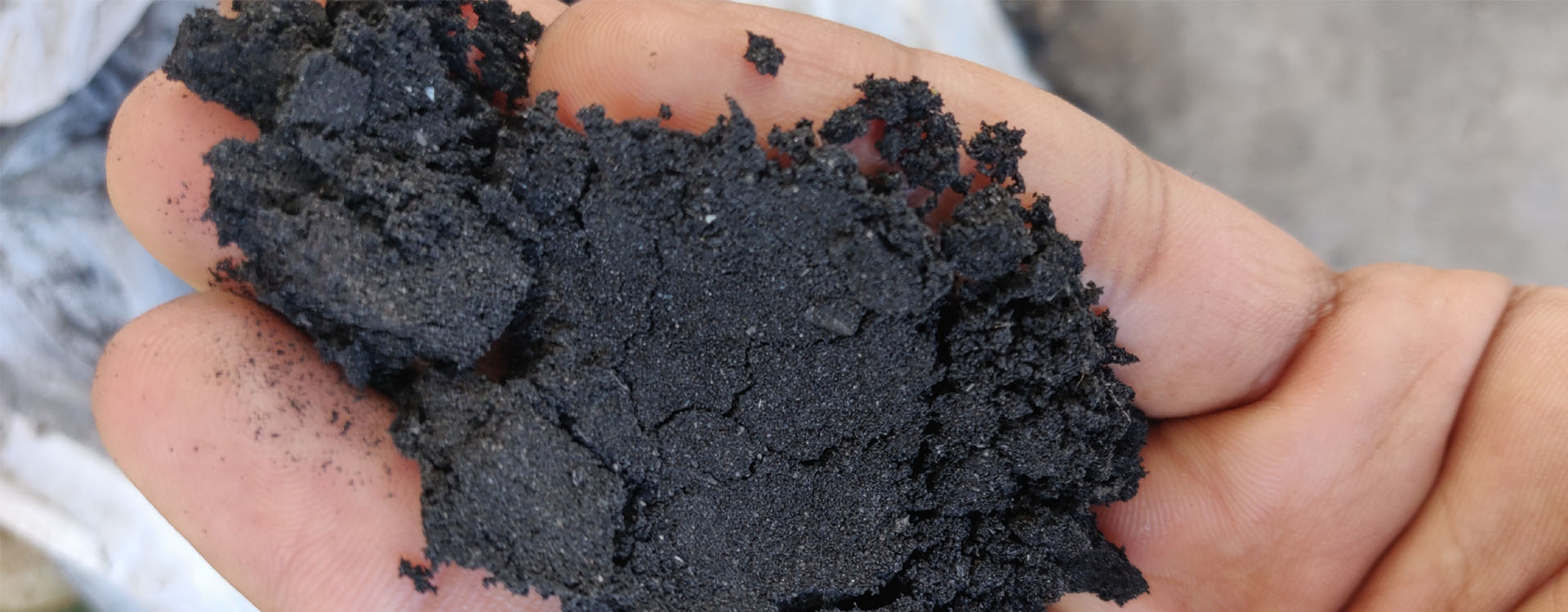 Coal Dust