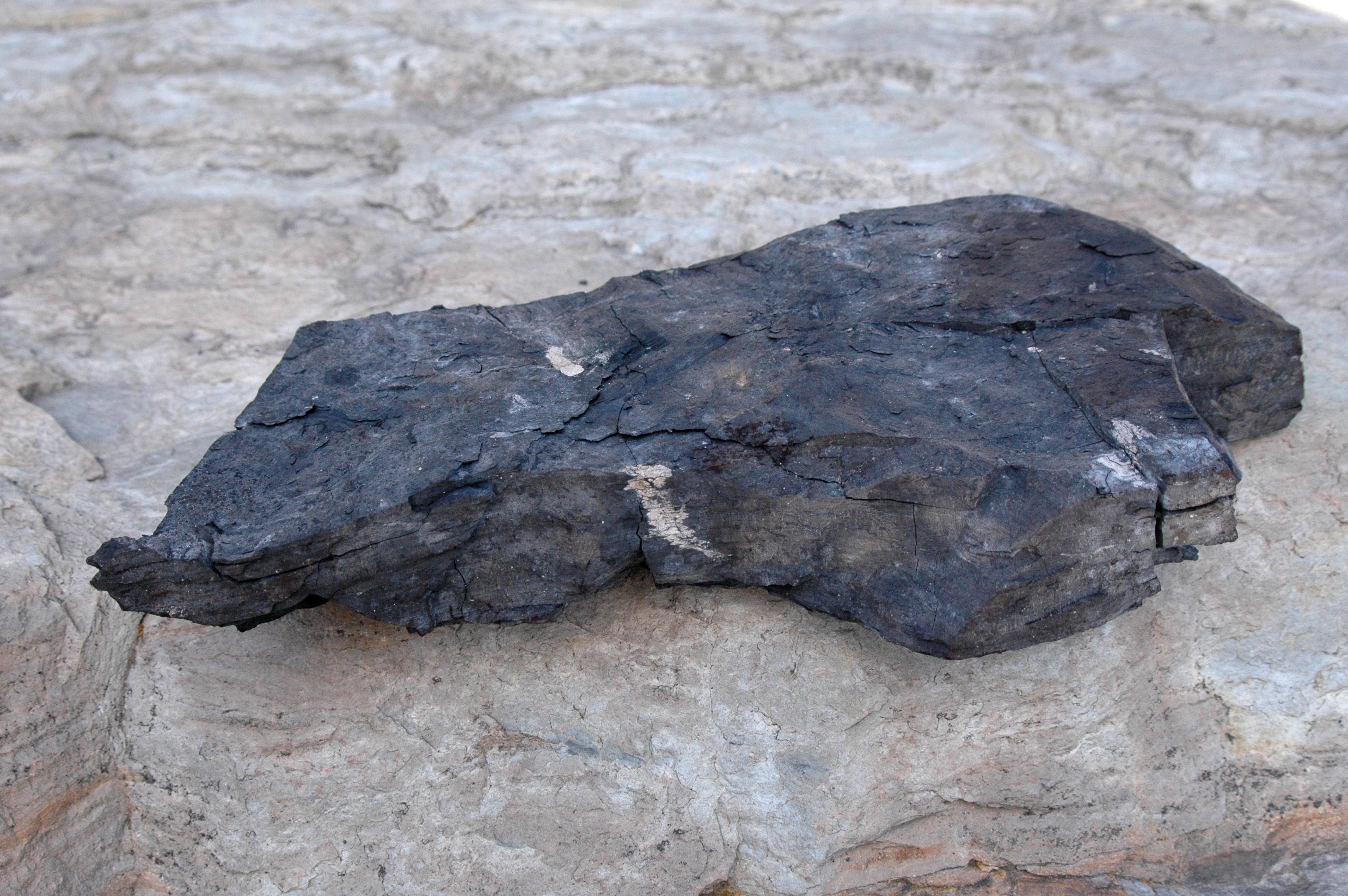 Lignite Coal